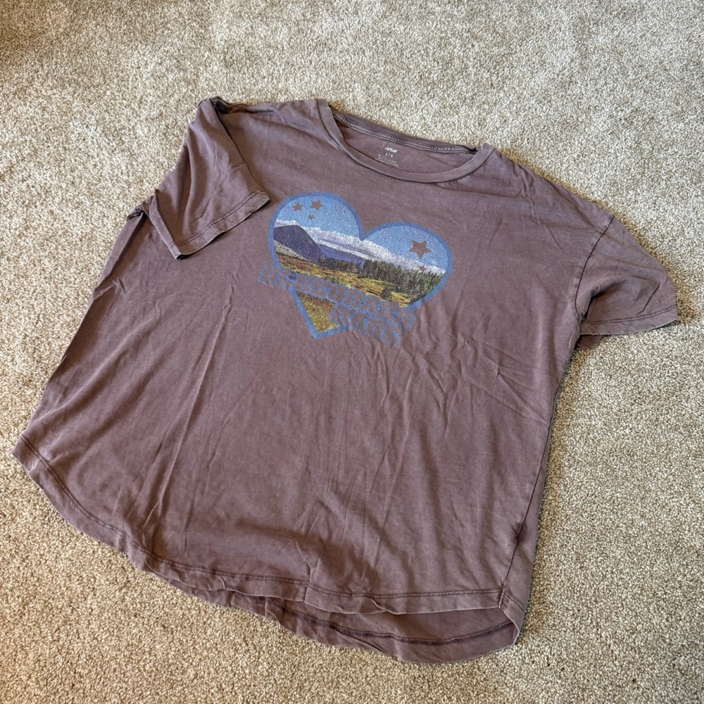 Aerie Distressed Oversized Tee